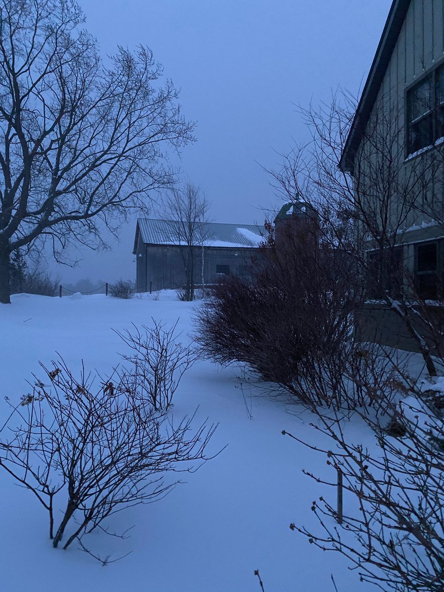 Who else woke up to a winter wonderland this morning?? ❄️✨ #winterinthekawarthas #Kawarthas #kawarthalakes #winteronthefarm #winterwonderland