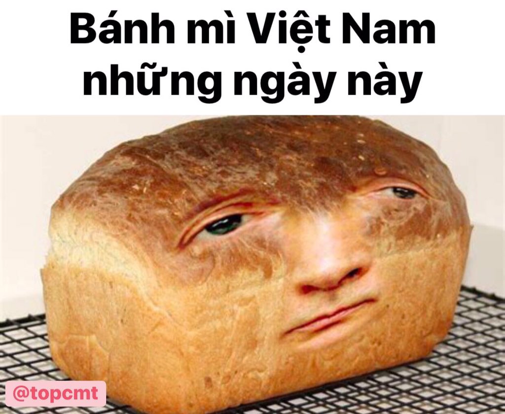 Hatrang2572003's tweet photo. Nỗi đau tôi mang trời xanh không sao hiểu thấu🤧                #AppologizeToVietNam https://t.co/tW2PW0AZtj