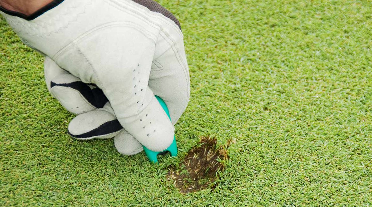 TimberCreek_GC's tweet photo. How much damage should you feel obligated to fix while on the golf course? ➡️ https://t.co/yunkUsNwTm #GolfTips https://t.co/dgX19zrVwG