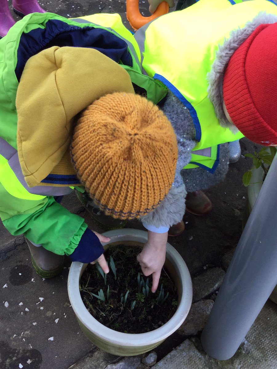 friockheimpg's tweet photo. Weβve been out exploring the school grounds to see if we can find some flowers. The children have observed that the flowers are starting to βwake upβ and that theyβll need a drink.
Weβll be doing some planting of our own throughout the week. π
#friockpg https://t.co/XdVcCeUZCj