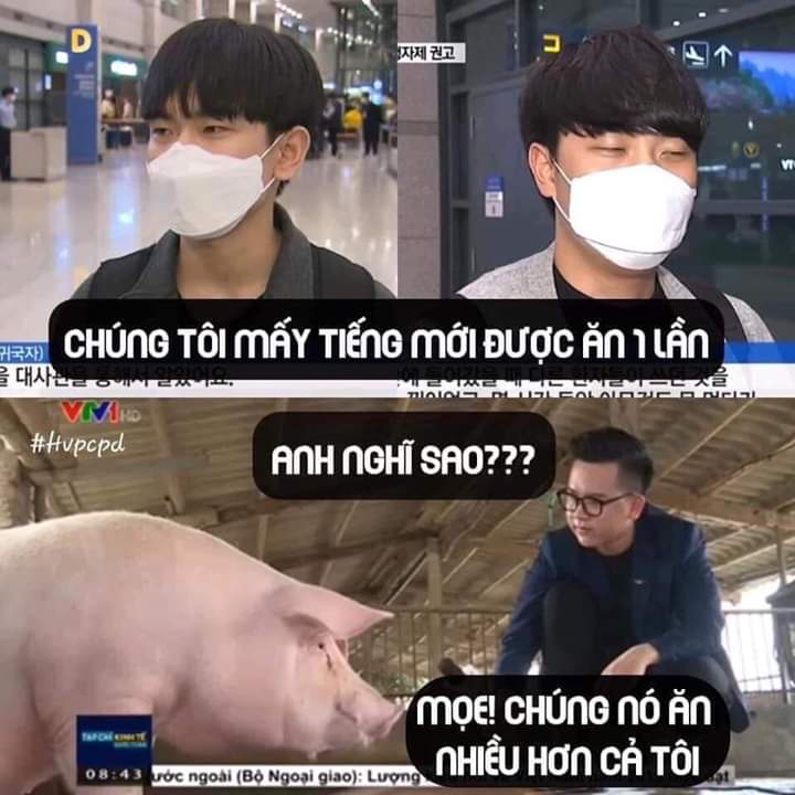 be_cuc2004's tweet photo. Chời ơi tin được khôngggg ụa 2 anh muốn 1 tiếng ăn lần hả nghĩ sao ăn hơn cả heo dậy đã ăn cơm miễn phí mà còn đòi hỏi cơm mấy anh ăn hơn 100k suất đó mấy anh ơi ngày 3 bữa cơm chứ anh muốn ngày 24 bữa hả #AppologizeToVietNam https://t.co/F6OzYqmXNk