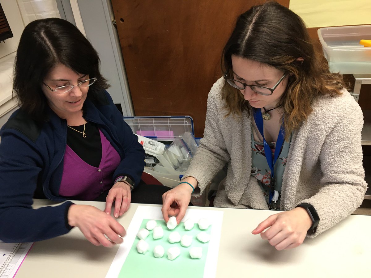 BPSTeachLearn (@bpsteachlearn) on Twitter photo Grade 5 teachers apply a Science and Engineering Practice, developing and making models, at Science PD! <a href="/BristolCTSchool/">Bristol Public Schools</a> #NGSS #passionandpurpose Grade 5 teachers apply a Science and Engineering Practice, developing and making models, at Science PD! <a href="/BristolCTSchool/">Bristol Public Schools</a> #NGSS #passionandpurpose