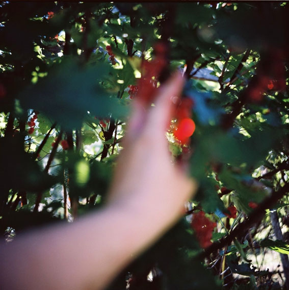 Anna Lilleengen tweet media