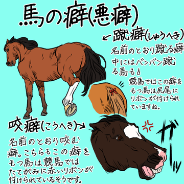 乗馬のギモン なぜ馬の毛を編み込みするの 馬のおしゃれ 編み込みをする理由とは 乗馬用品ジョセスの記事一覧