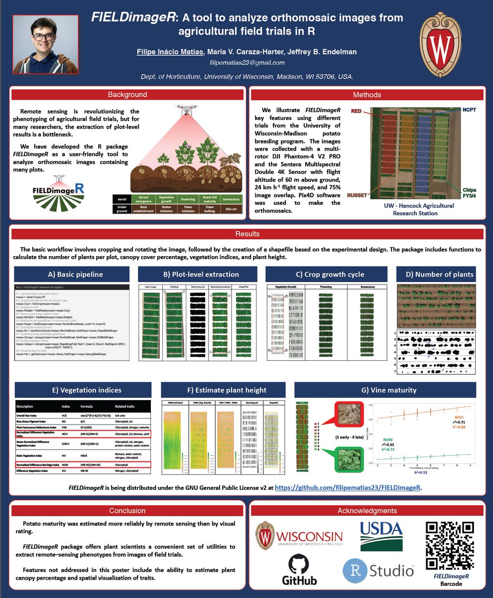 FilipeM16986777's tweet photo. I had a great time presenting FIELDimageR at #Phenome2020. FIELDimageR is R package addressed for remote sensing analysis in the context of plant breeding and agriculture, i.e. images from field trials (https://t.co/HIYUECOW6j). #rstats #github #remotesensing #plantbreeding https://t.co/ucV6GtJw2a