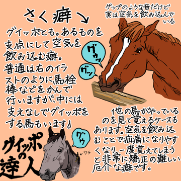乗馬のギモン なぜ馬の毛を編み込みするの 馬のおしゃれ 編み込みをする理由とは 乗馬用品ジョセスの記事一覧