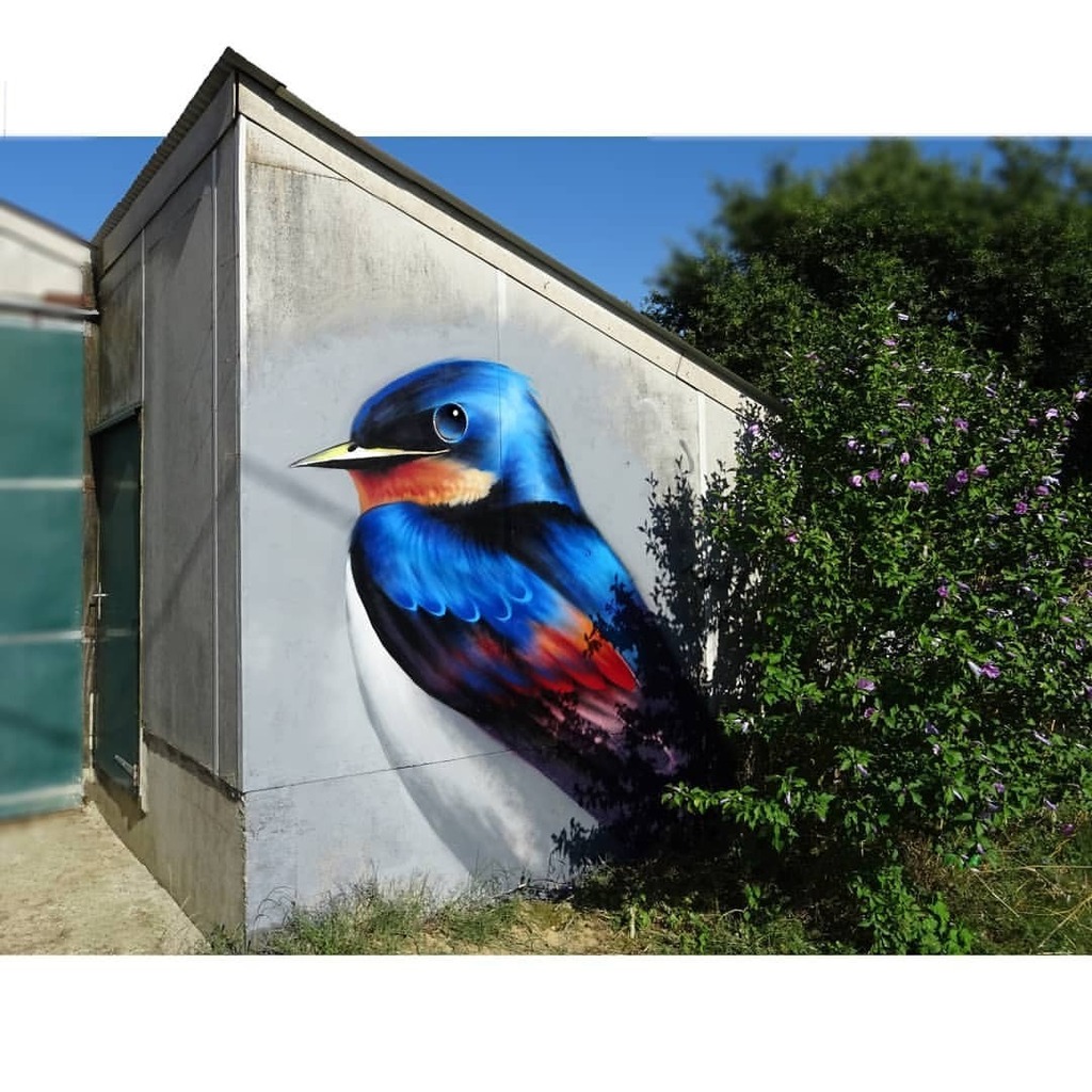 Alinate_art's tweet photo. Protecting birds and animals in general is so important, it’s a great way to sustain wildlife. In fact, each organism on Earth has a unique place in the food chain that actually helps contribute to the whole ecosystem in its own specific way.

In south F… https://t.co/eWGa6VB0HD https://t.co/irbP7pJS4f