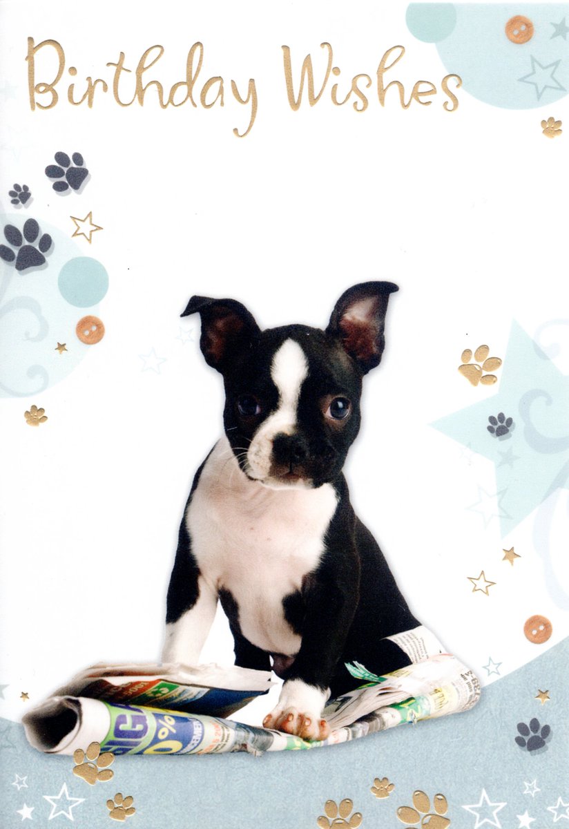 Dog Greeting cards tsgreetingscards.co.uk