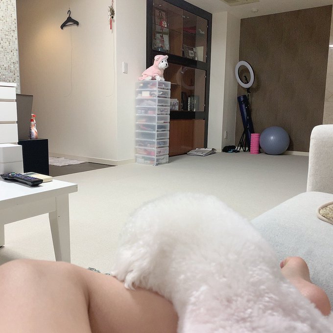 関根りささん の人気ツイート 2 Whotwi グラフィカルtwitter分析 関根りささん の人気ツイート 2 Whotwi グラフィカルtwitter分析