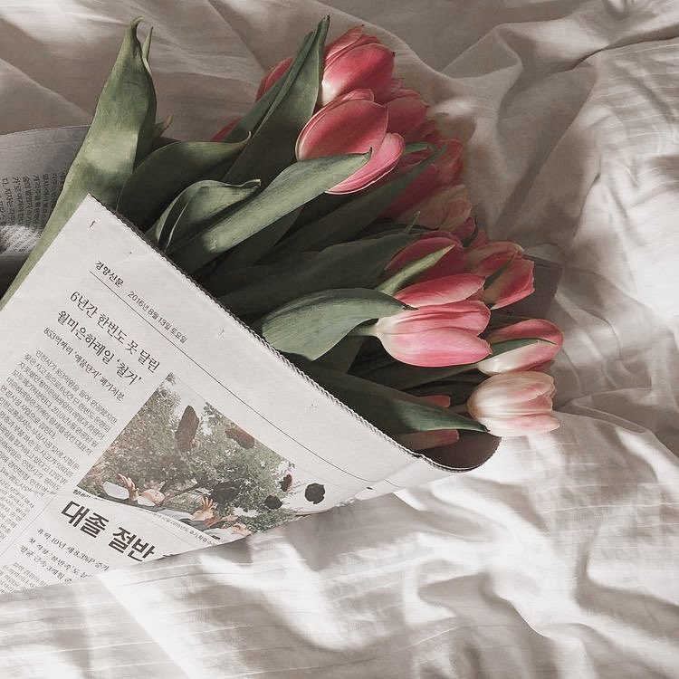 ・ᴥ・ tweet media