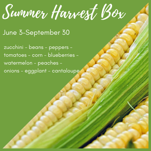 pennscorner's tweet photo. Registration is Open!  Eat local with Penn's Corner - https://t.co/eBCgjbdMKU https://t.co/tiupu1hGxX