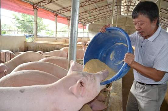 NinhGiang13's tweet photo. Vâng đất nước các bạn sang. 1p ăn 1lần
Sang quá. Ăn như kia cơ mà. 
Cái lũ thượng đẳng :)))))
#AppologizeToVietNam https://t.co/QiiHYpqkmM