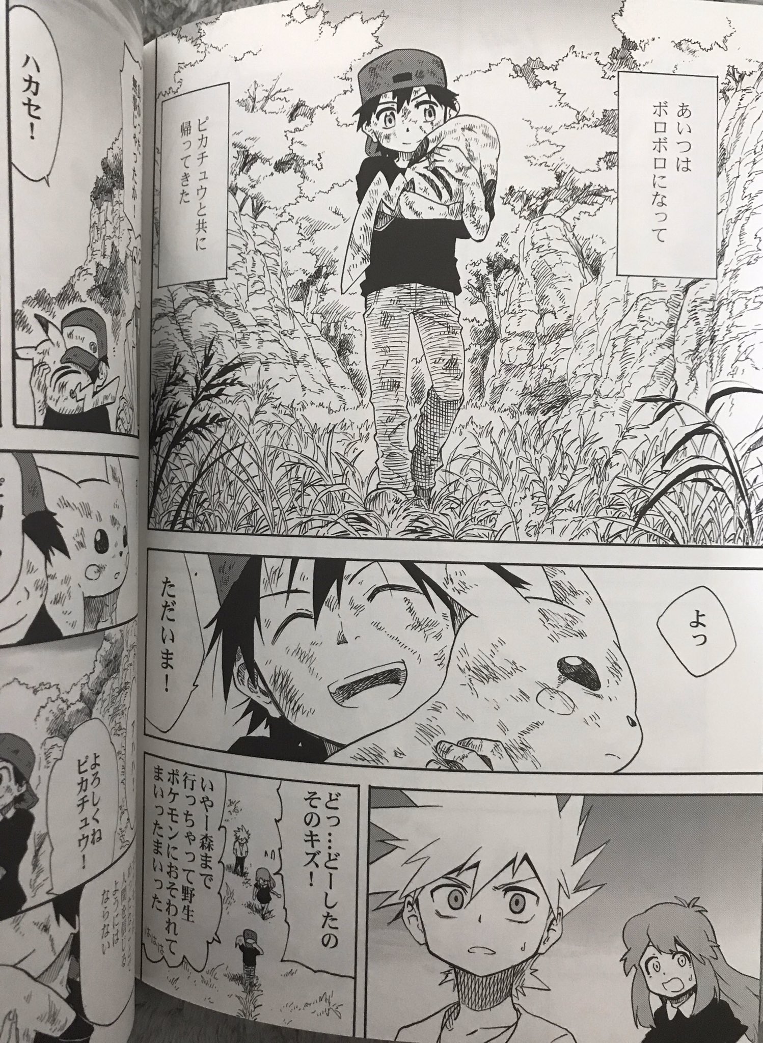 ポケモン 同人誌 王者の祭典 総集編 赤 緑 青 FPC 清順 seijun