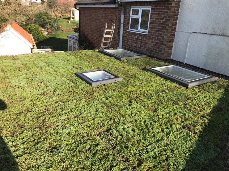 BowllerGroup's tweet image. A recently installed green roof - Pictures show stages of progress. Sustainable roofing #Green #GoGreen #ecofriendly #sustainable #Sustainability #roofing #roofinguk #roofingchat #roofingcommunity #greenroof #bowllergroup