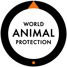 Planet_Matter's tweet photo. 5 habits, to save animals' habitat.. #animallovers #ProtectAnimals 
Buy Sustainable Products and RECYCLE! ...
Fill the Yard with Native Plants. ...
Avoid Herbicides and Pesticides. ...
Make your home wildlife friendly. ...
Visit a national wildlife refuge, park or other. https://t.co/wqXDmcAddM