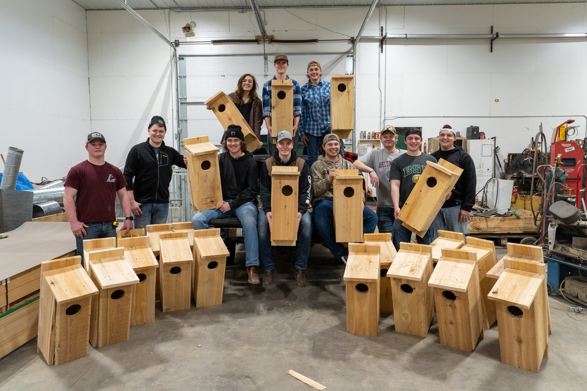 BemidjiState's tweet photo. A few lucky wood ducks will have brand new homes this spring thanks to the work of the Bemidji State University Ducks Unlimited Chapter. See more here: https://t.co/CGBkt6JoYA https://t.co/1yhOMNjeN9