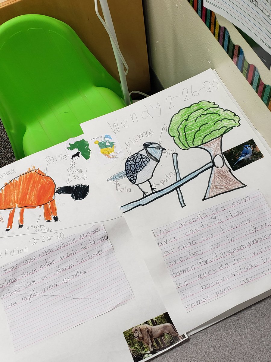 JackieHeadrick's tweet photo. So proud of my hard working @SiglerStars first graders. They are busy creating informative texts! Stay tunned for the finished products. #ThankfulThursday #siglernation https://t.co/Ph0668CtiW