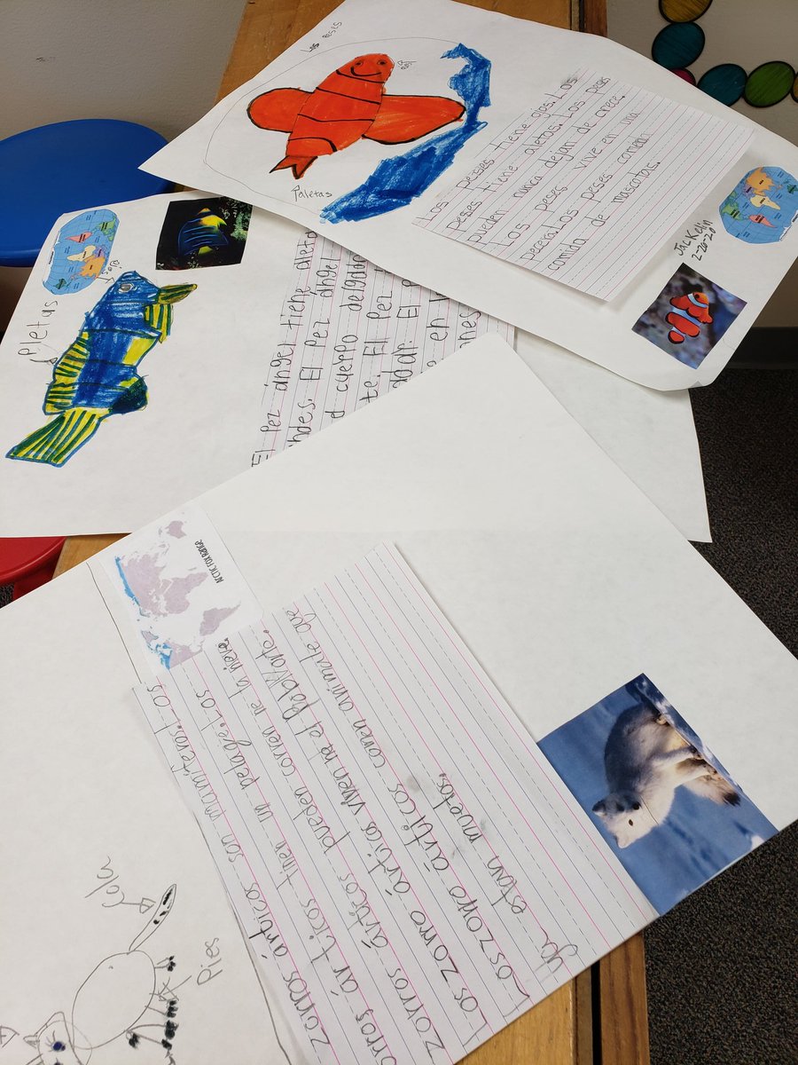 JackieHeadrick's tweet photo. So proud of my hard working @SiglerStars first graders. They are busy creating informative texts! Stay tunned for the finished products. #ThankfulThursday #siglernation https://t.co/Ph0668CtiW