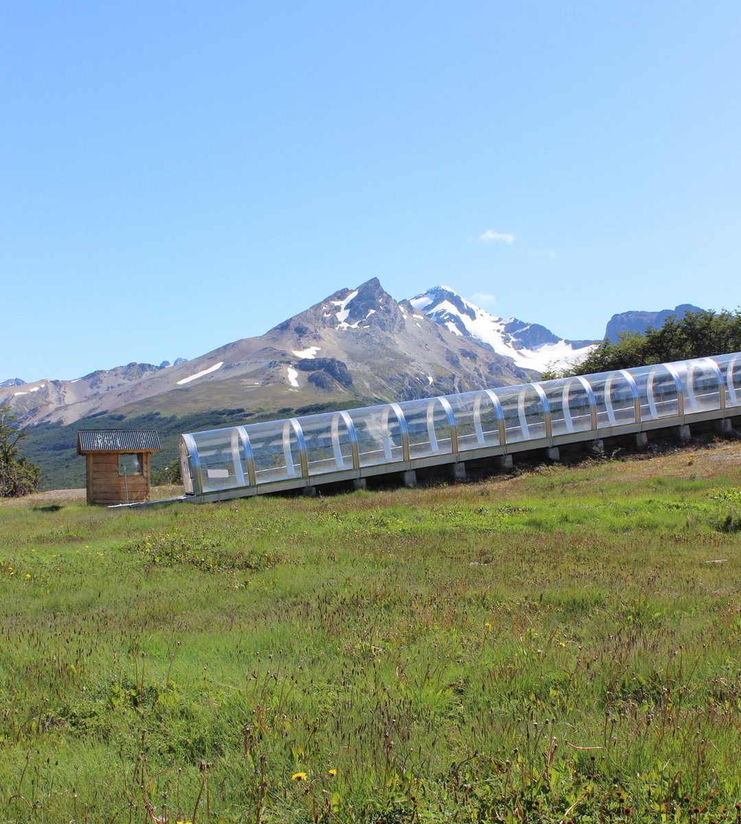 La magia, intacta en verano. ¿Aprendiste a esquiar en nuestras magic carpets? ¡Contanos! ✨⛷
#iLoveCerroCastor