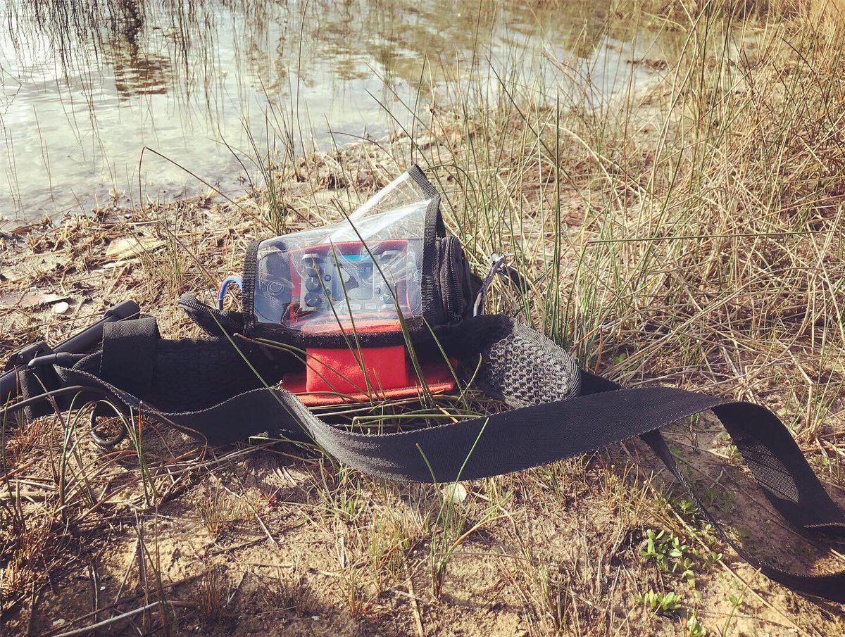 watsonwu's tweet photo. Ambience recording in 55 degrees in Florida! Today I’m using the RØDE TF-5 matched mics in #MiniMeRodeBlimp connected to #ZoomF6 (Ktek F6 bag) 😎🔊👍🏻
#rodetf5 #rodemic #ktekf6 #Ktekstingray #fieldrecording #ambience #soundeffects #sounddesign #microphone #tonyfaulkner #traveler https://t.co/ojewV9fyD8