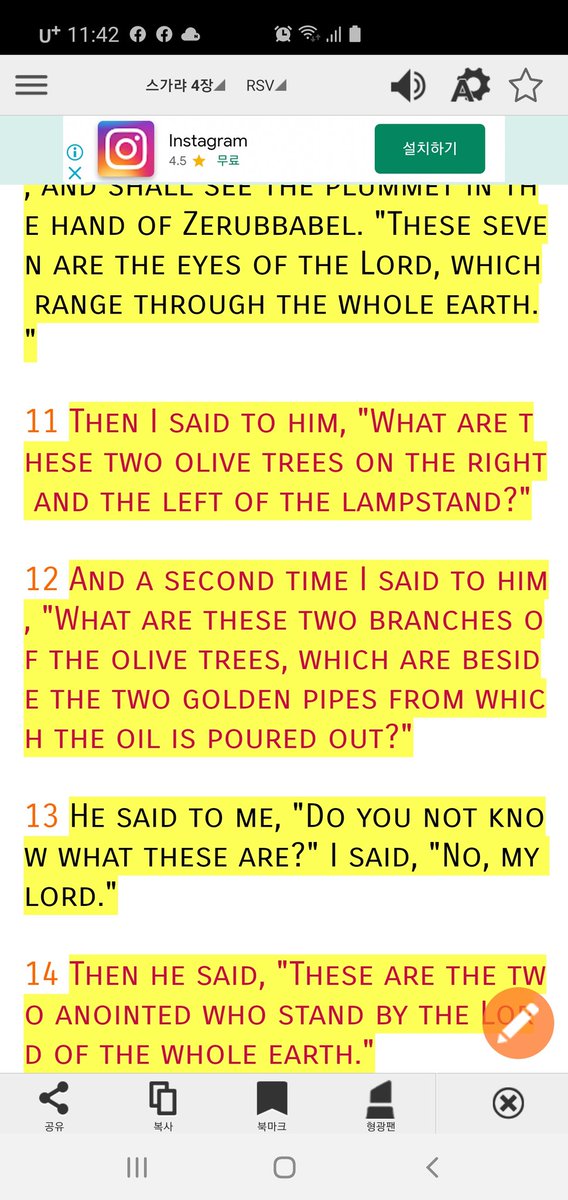 11 Then I said to him, "What are these two olive trees on the right and the left of the lampstand?" 12 And a second time I said to him, "What are these two branches of the olive trees, which are beside the two golden pipes from which the oil is poured out?"