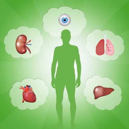 HospitalJuarezM's tweet photo. #DíaMundialDelTrasplante ¿Qué puedo donar en vida?
Puedes donar: riñón, un segmento de hígado, segmento de intestino, segmento de páncreas, médula ósea, piel y sangre. https://t.co/CzGOT6j3gZ