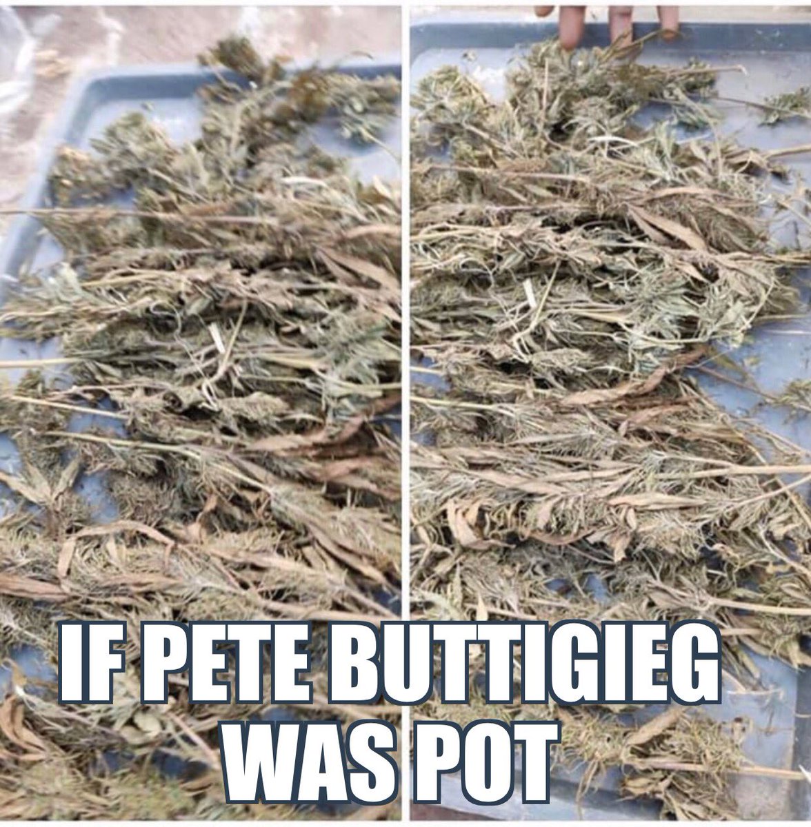 StumblePie's tweet photo. @PeteButtigieg Actually what you’ll do is collaborate with your wall street masters and big health insurance/pharma to suck our pockets dry. https://t.co/oC2yofMnGk