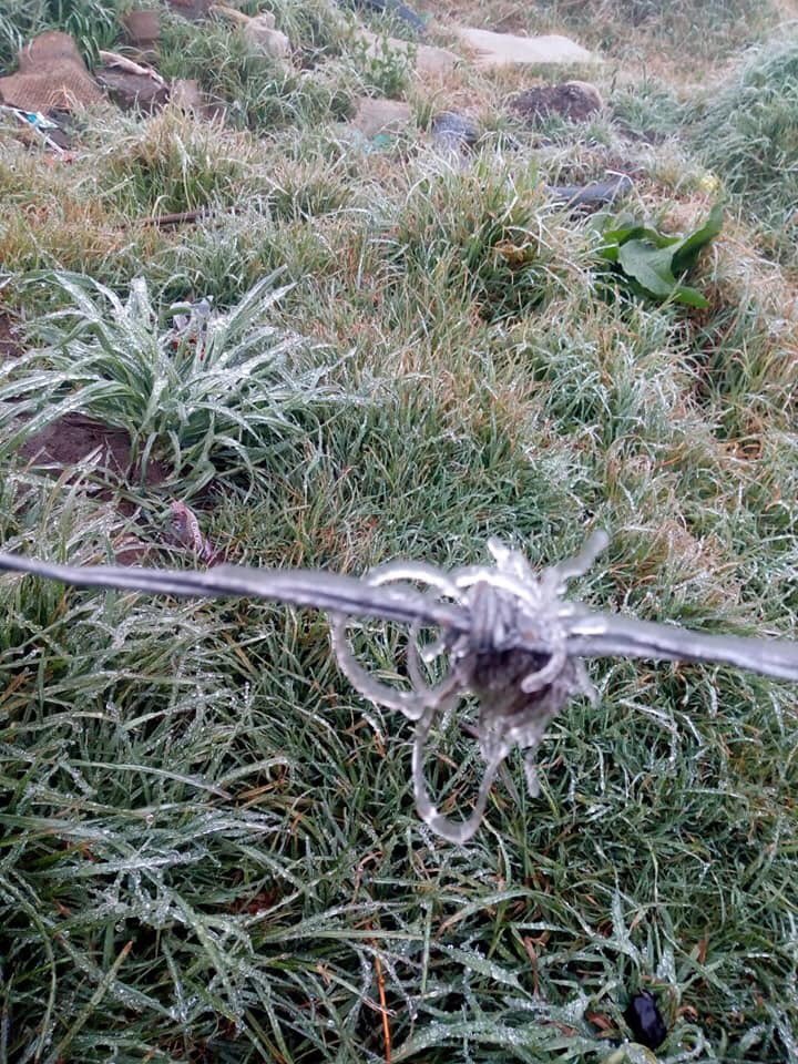 Sinfiltrover's tweet photo. 🥶|Estado| Reportan Conagua y PC caída de lluvia engelante; así amaneció en #Perote y #LasVigas
📸 Alberto Utrera, Jessica Ivette, Miguel Ángel Mata y Carlos Hernández. @VialidadXalapa @retioxalapa @LetyRossado https://t.co/rpuguueR5Y
