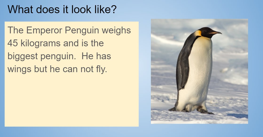 D300Digital's tweet photo. These 1st grade #KnowledgeConstuctors in Mrs. Biallas' Class at Eastview have been using #Worldbook to research a Polar Animal. Then they created @GoogleForEdu Slides to share their information! #DLDday #EastviewExcellence @APascoEdTech @larson_desi https://t.co/GoXBTiq8el