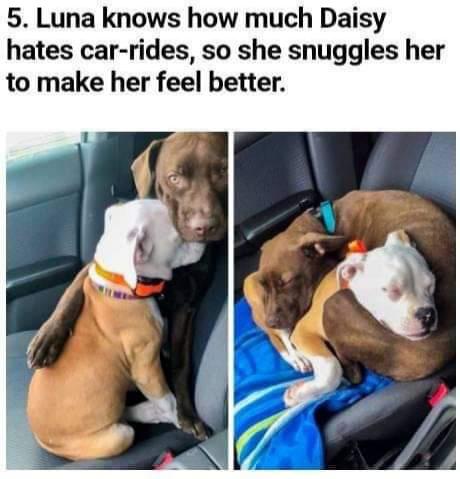 WholesomeMeme's tweet photo. https://t.co/jdEjJKRdXs