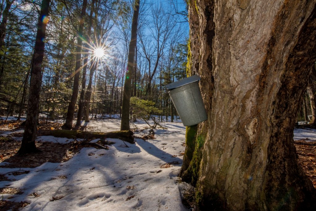 Visit MWV tweet media