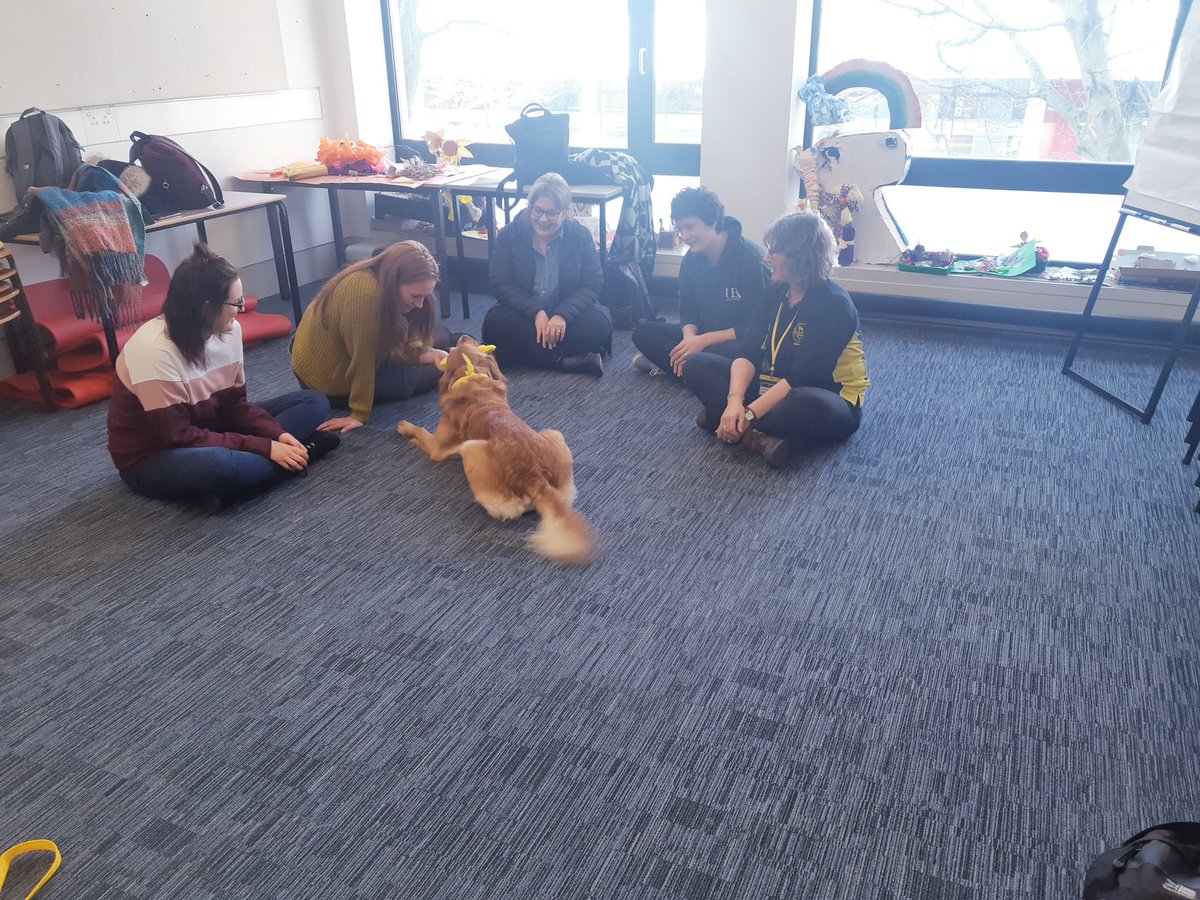 OT_UEA's tweet photo. The first HSC Therapy Dog session is underway. Great way to spend an afternoon - many thanks to Milo &amp; Angela @TherapyDogsUK 
Therapy dog sessions are open to all HSC students &amp; staff 💛
@pip_otstudent
@Nat_OT_student @katiemansii
@UEAOTSoc @physiosoc @UEA_Health @SallyHardys https://t.co/Q5a2hI71m6
