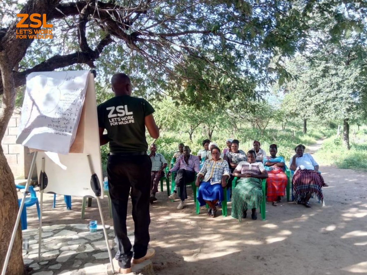 ZSL Africa tweet media