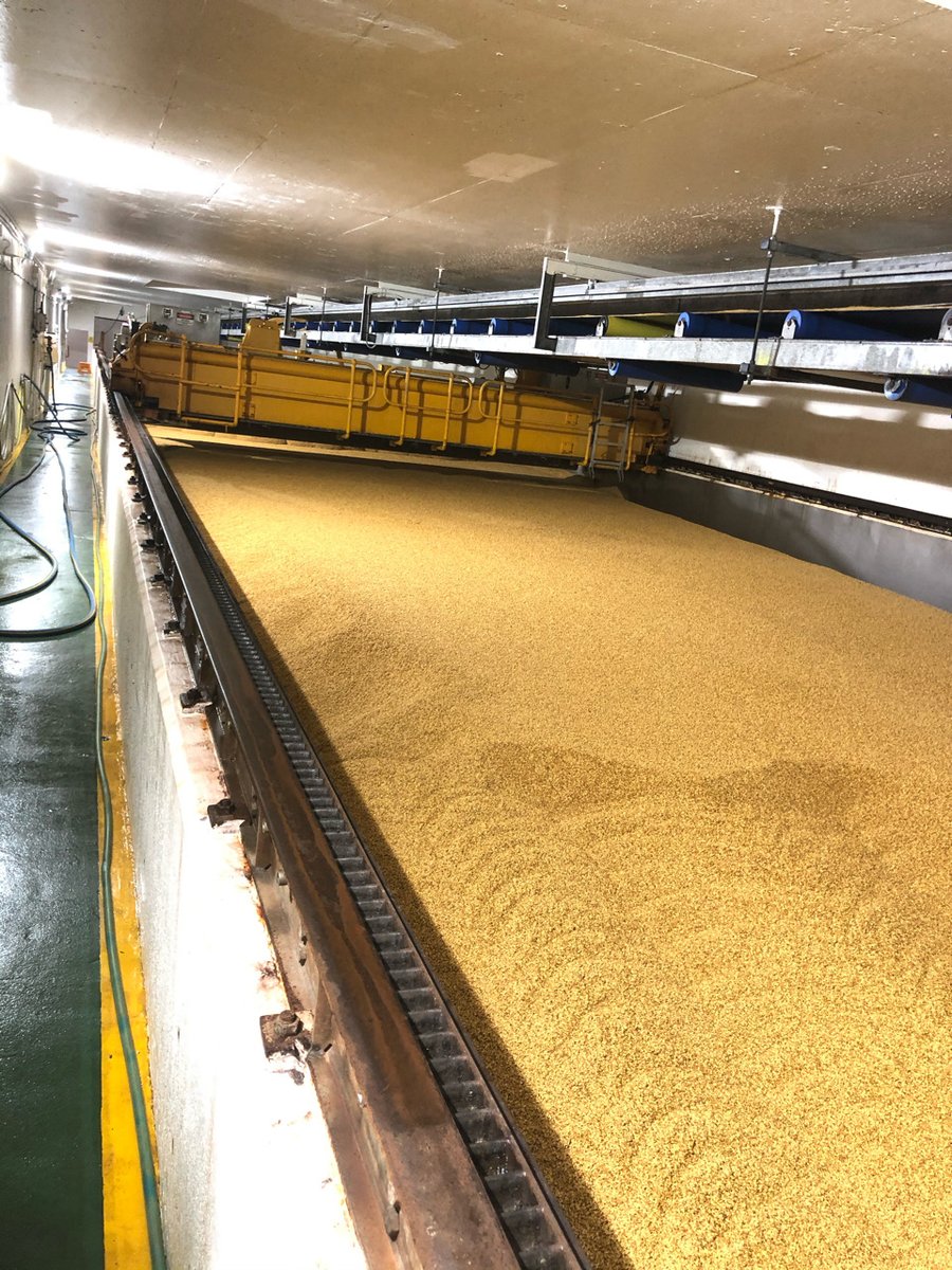 Pure Grain Network tweet media