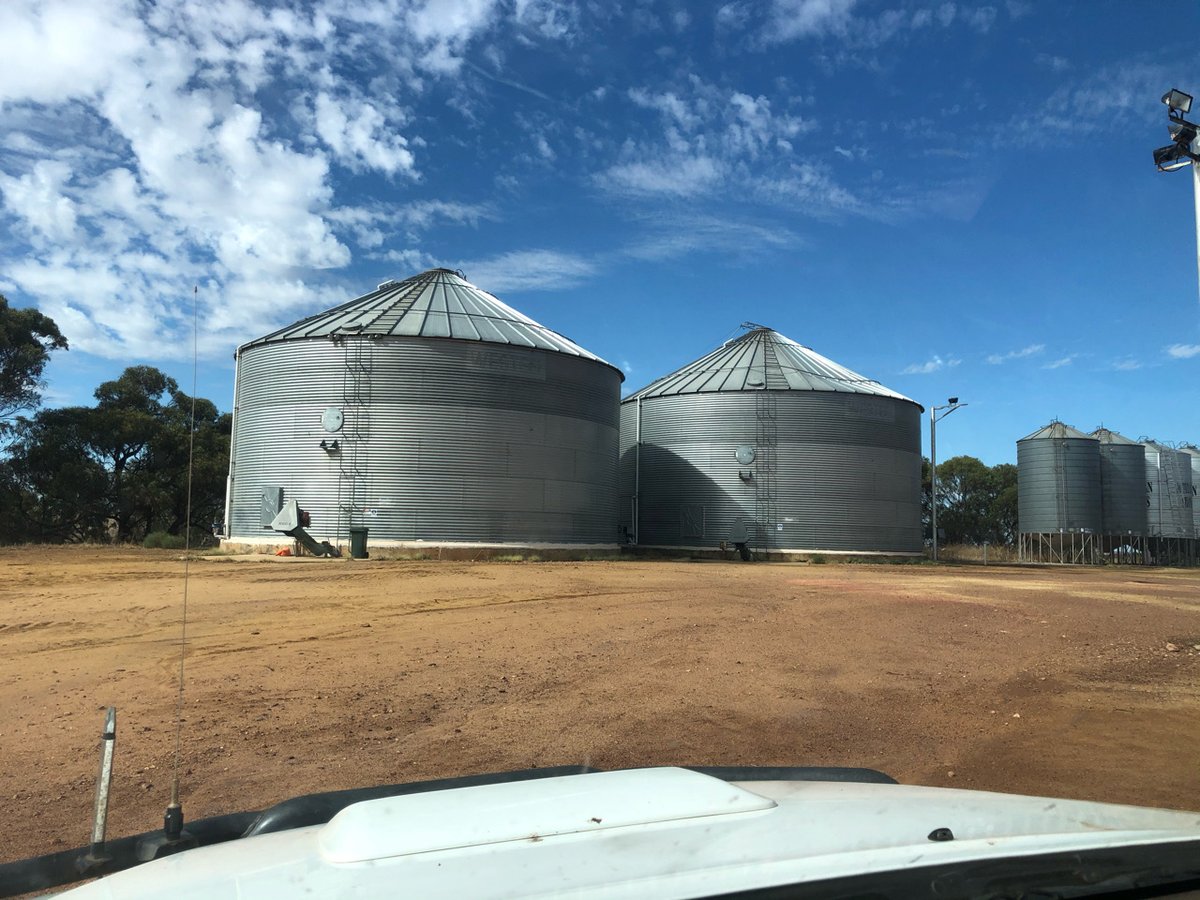 Pure Grain Network tweet media