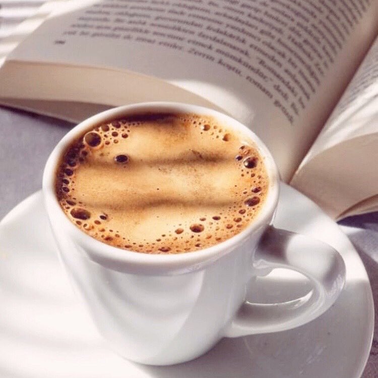 VanityLabCo's tweet image. More espresso, less depresso. ☕️

According to a 2014 Japanese study, coffee contains acids that can reduce the inflammation of nerve cells that takes place in the brains of people with depression. 

#goodmorning #ThirstyThursday #coffeetime #ScienceMatters #Moderation