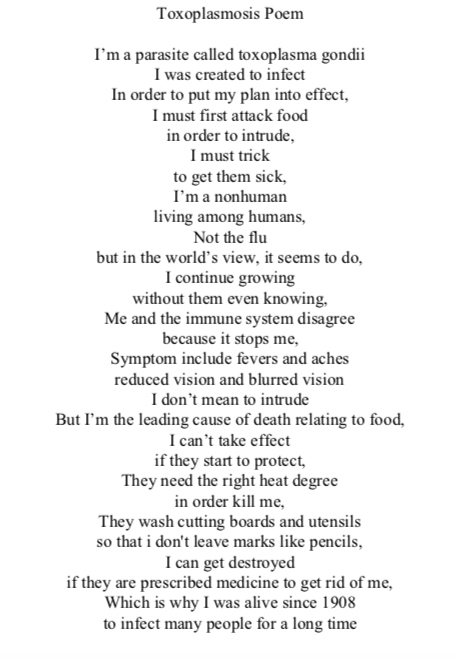A little toxoplasmosis inspired poem by Deadly Outbreak student, Isabel - #HarveyPRIDE <a href="/HarveySchoolNY/">The Harvey School</a>