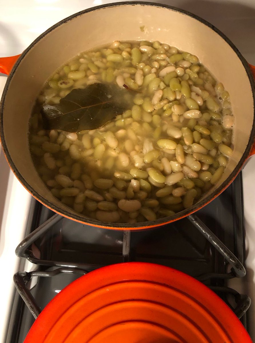 annogdengaffney's tweet photo. Delicious pale green @rancho_gordo flageolets that I cooked from scratch in my favorite @lecreuset bean pan! So yummy! My favorite side for roast lamb! 
#highfiber #flageolets #beansfromscratch #homecooking #chefsofinstagram #lesdamesdescoffier https://t.co/bNI9SZYyEb