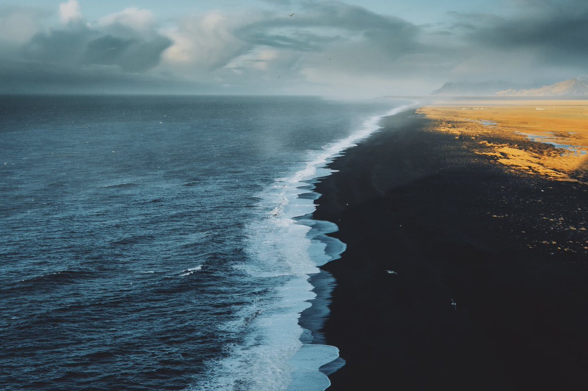 Daniel Casson tweet media