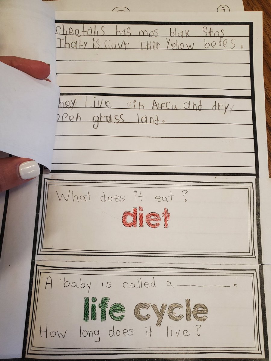 Vrodcollazo's tweet photo. Reseach in Mrs. Skorusa's class @VickeryES is going strong! #firstgrade https://t.co/wyglTBsPbC