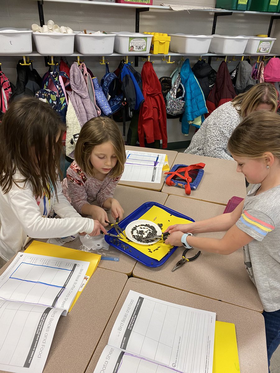 MrsLenich's tweet photo. Learning about different bird beaks and what they’re used to eat! https://t.co/3A6LXNoEYm