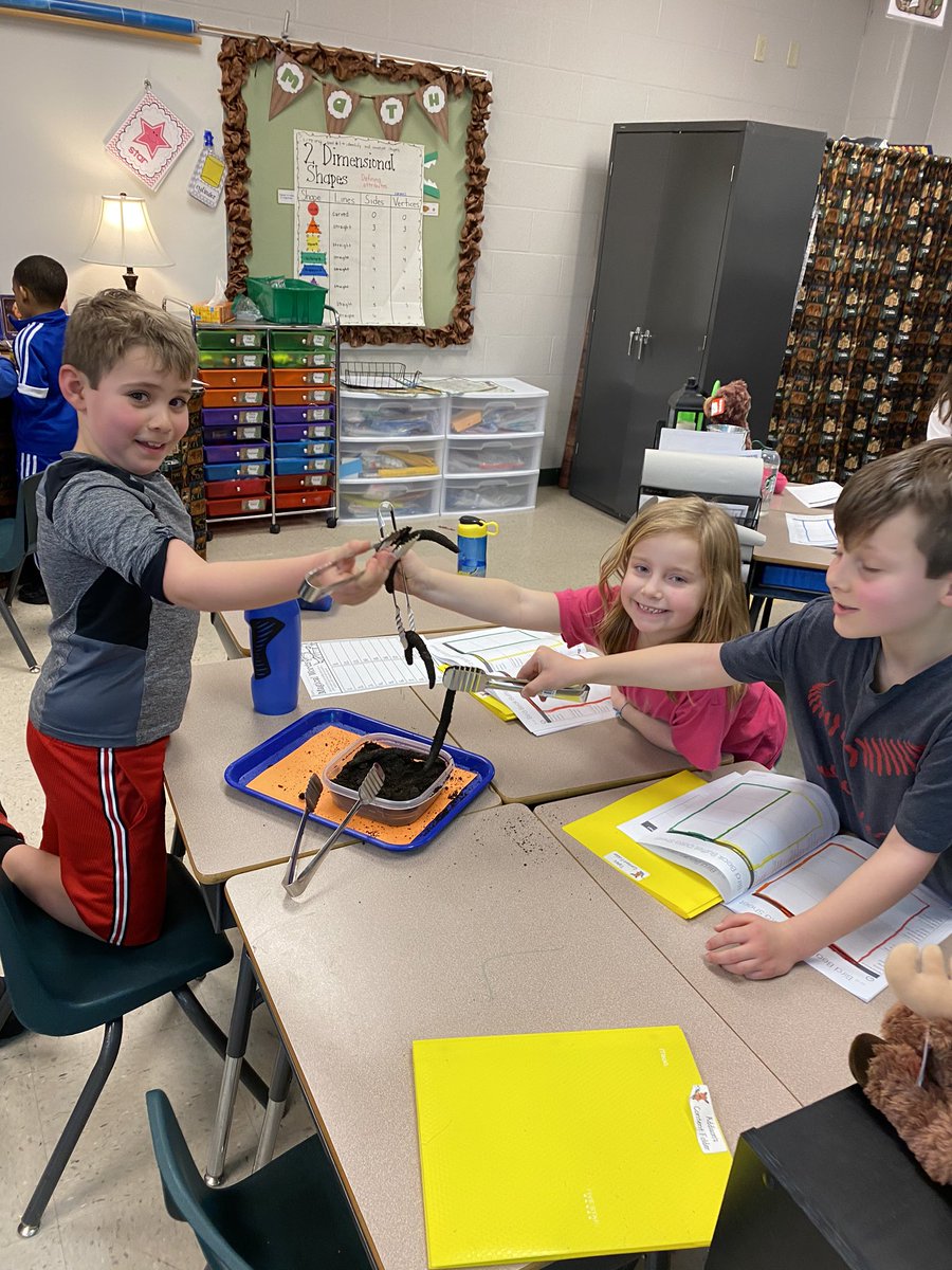 MrsLenich's tweet photo. Learning about different bird beaks and what they’re used to eat! https://t.co/3A6LXNoEYm