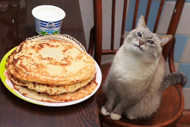 kitty pancakes
