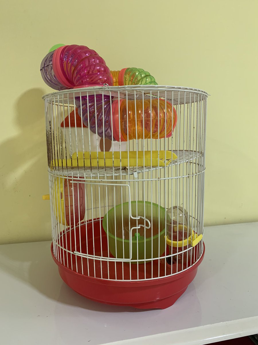 Vendo jaula para hámsters $850  con todos sus accesorios! <a href="/NuevaCbaVENDE/">VivirEnNuevaCordobaVENDE</a> <a href="/VivireNuevaCba/">VivirenNuevaCórdoba®</a> <a href="/nueva_y/">Emilio nueva Y</a> <a href="/Compraventaserv/">Compra Venta y servicios córdoba</a> <a href="/VendeNvaCba/">VendeNvaCba</a>