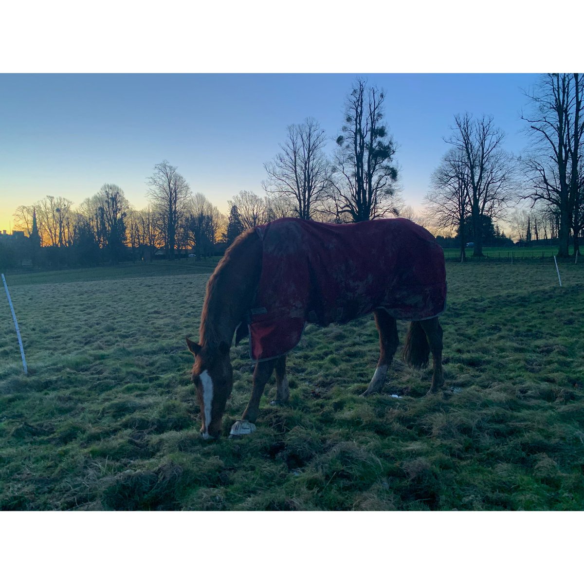 Claire Drey-Brown tweet media