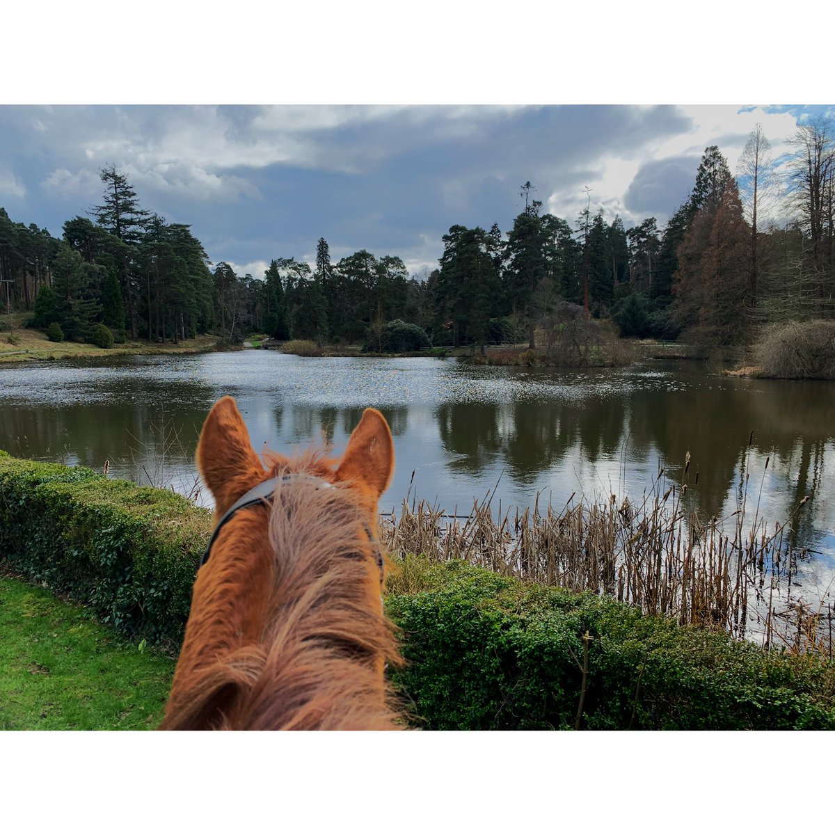 Claire Drey-Brown tweet media