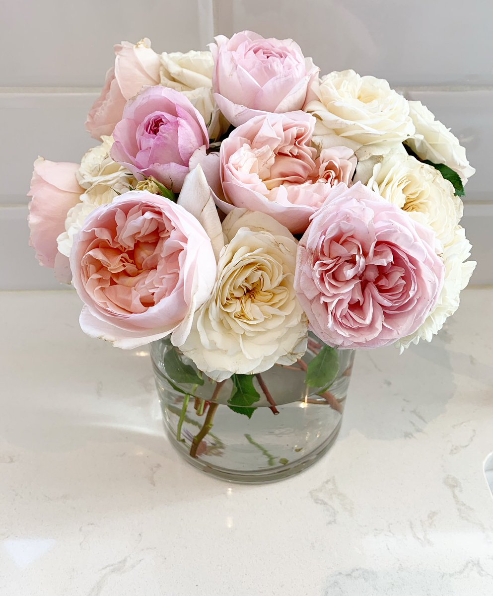 blushjamierose's tweet photo. How about these beauties from @gracerosefarm to brighten your day!! Nothing quite like fresh blooms to enhance your space... There are so many ways to incorporate beauty to your life, and this is definitely one of my favorites! 💕 Xo Jamie https://t.co/z0nQl4tZDR