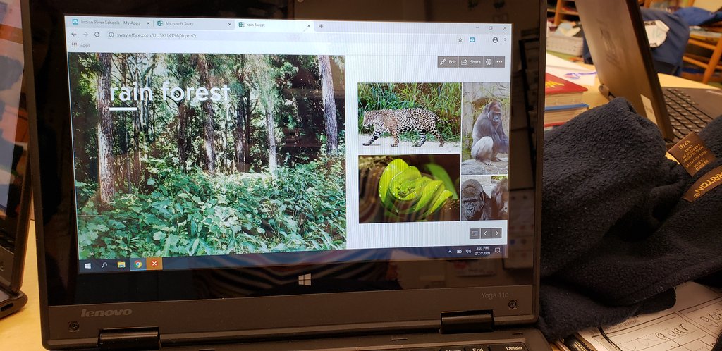 DianeParentela's tweet image. Ss were so excited to work on their Sway this afternoon. I was busy supporting their learning and didn&apos;t take many pictures...@OsceolaMagnet @IT_SDIRC #DLDaySDIRC #SPARK_IT