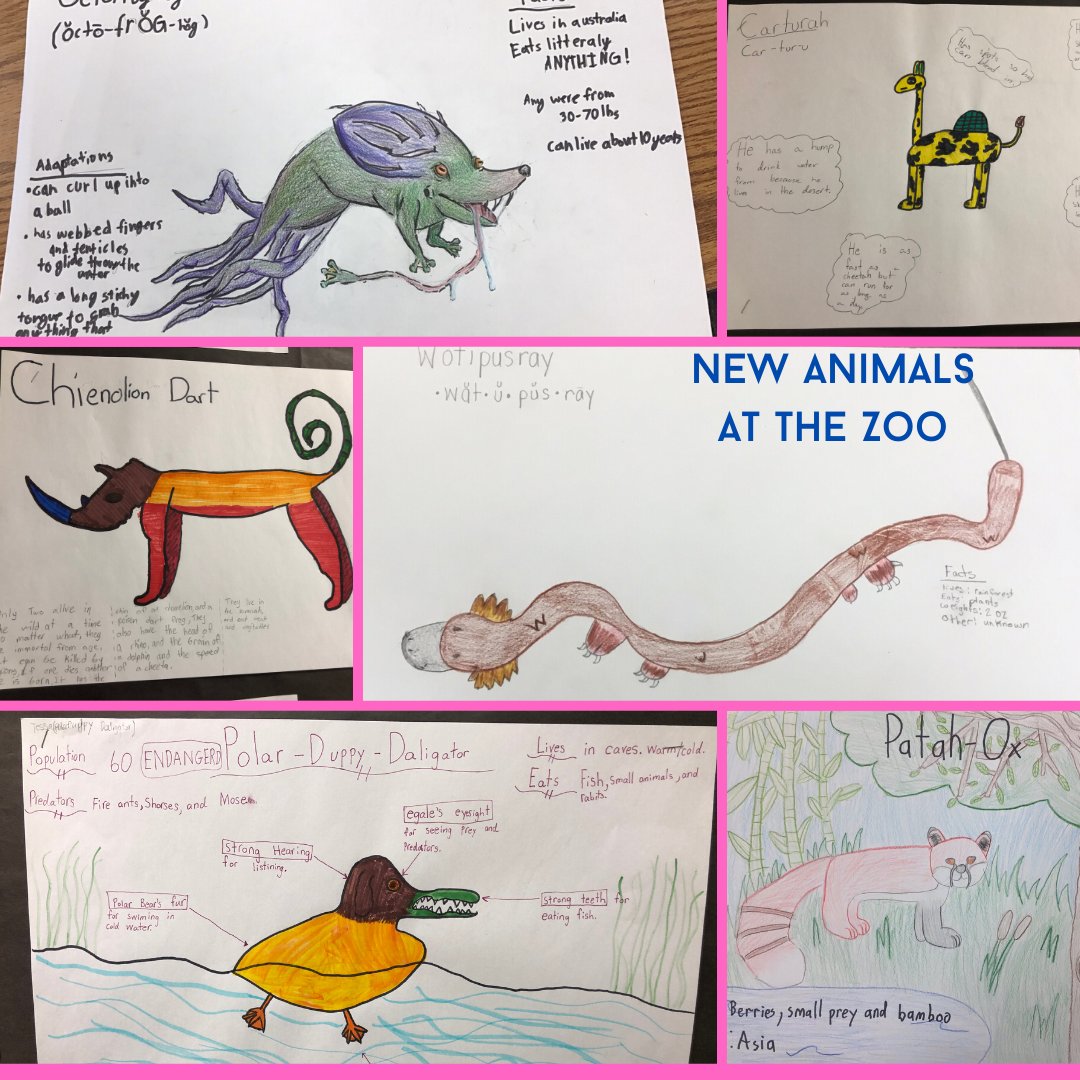 lswanson79's tweet photo. Love seeing the creative thinking in the @bpsHAL1 Ss "create a creature" designs! #bpsne #bpsHAL https://t.co/6L8Kz7YdUC