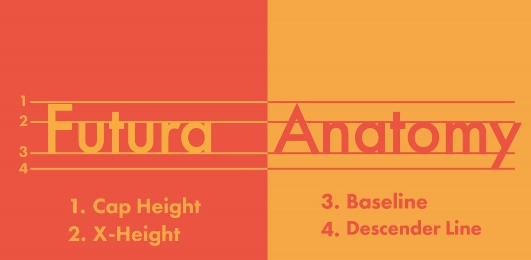 Kiera Mcgrory Design tweet media